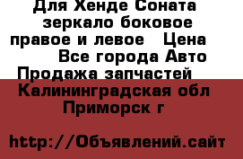 Для Хенде Соната2 зеркало боковое правое и левое › Цена ­ 1 400 - Все города Авто » Продажа запчастей   . Калининградская обл.,Приморск г.